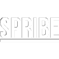 betvisa-crash-game-provider-spribe-img