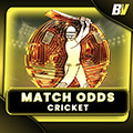 betvisa-popular-games-match-odds-img